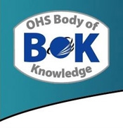 Central Safety Group Amsterdam Annual Newtorking Christmas Lunch